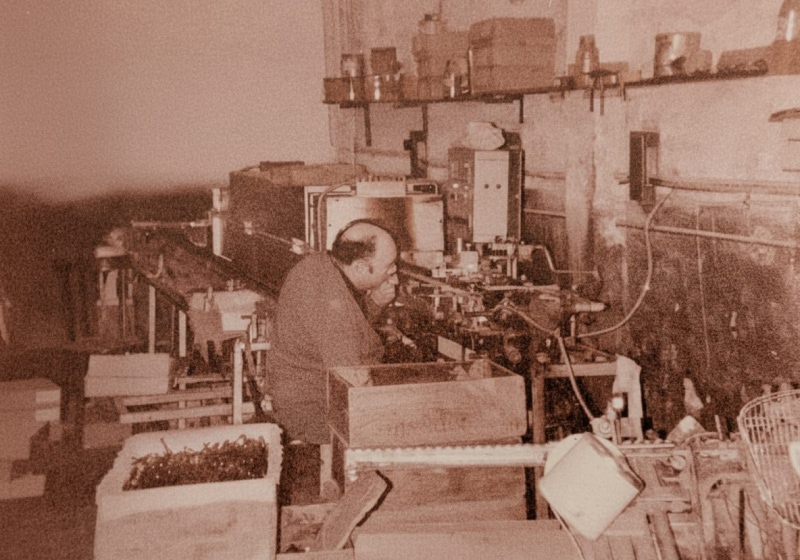 timeline-items Image